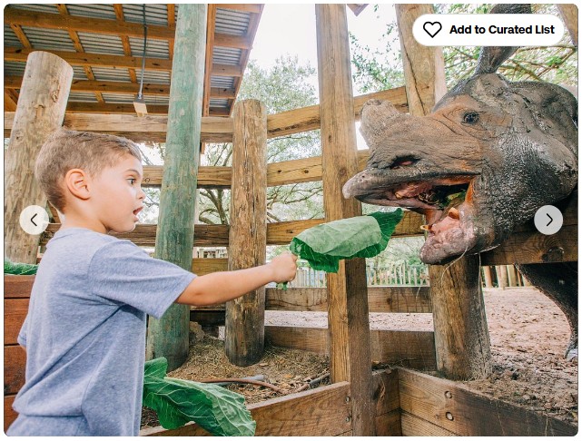 TampaBayTourist.com